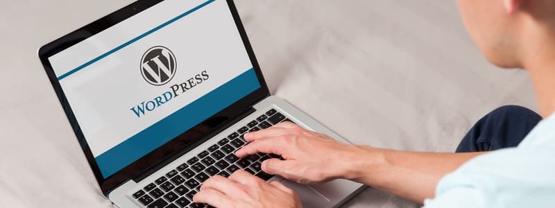 Artigo Cria&ccedil;&atilde;o de Sites Wordpress